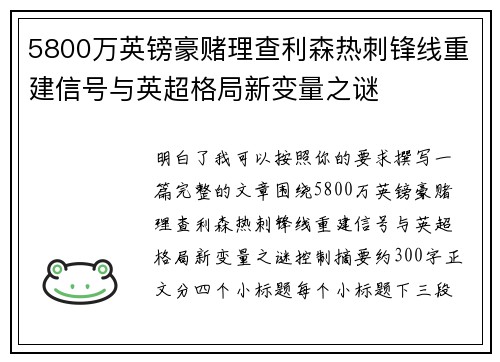 5800万英镑豪赌理查利森热刺锋线重建信号与英超格局新变量之谜 5800万英镑豪赌理查利森热刺锋线重建信号与英超格局新变量之谜